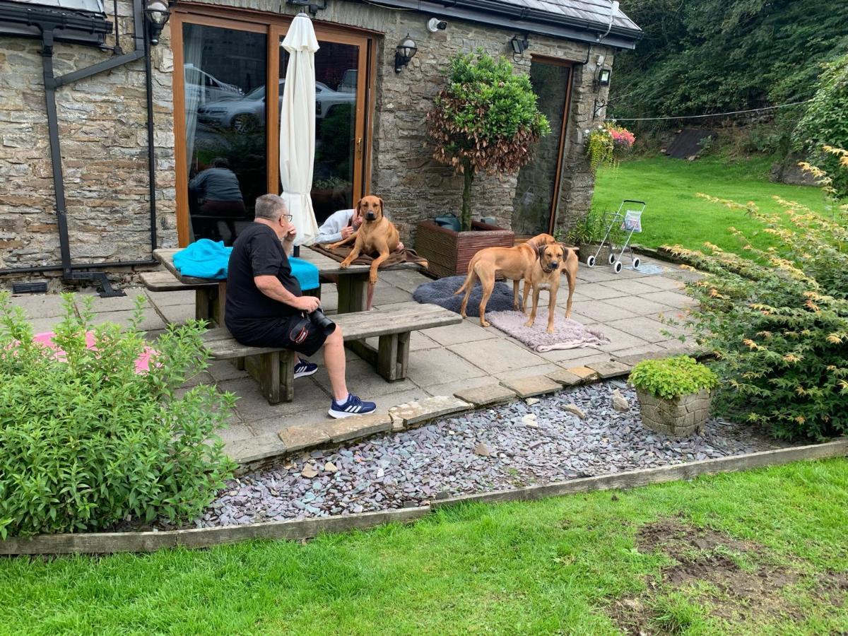Cross Hands Beudy Bach B&B 외부 사진